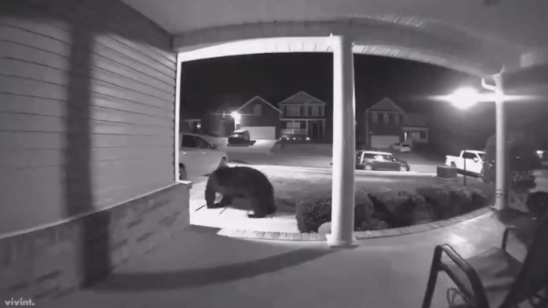 Jennifer Troy shared this video of a pretty hefty-sized bear wandering in South Knoxville.