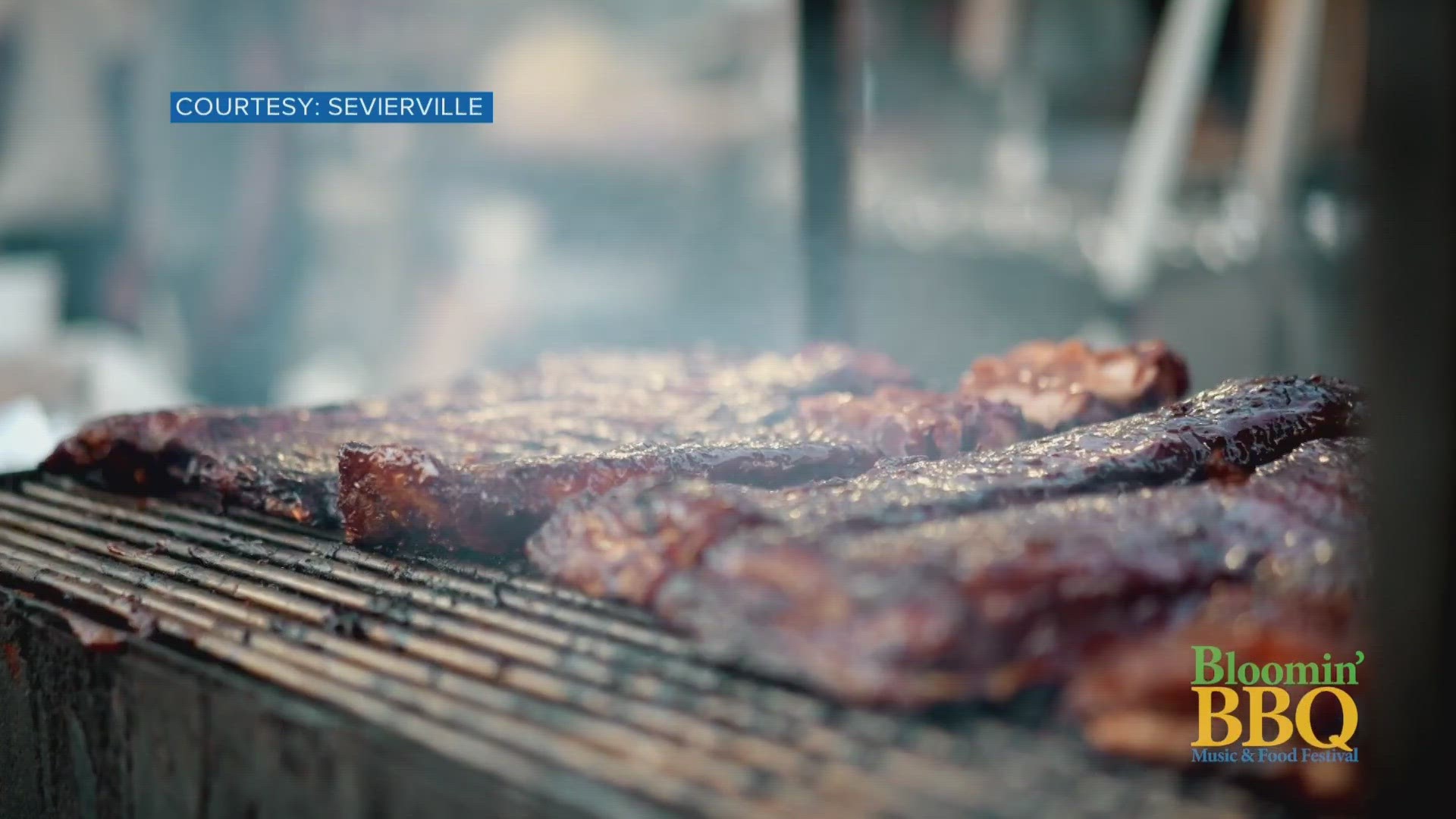 It's national barbecue month and Sevier County is celebrating in style. This weekend is the annual "Bloomin Barbecue Music and Food Festival."