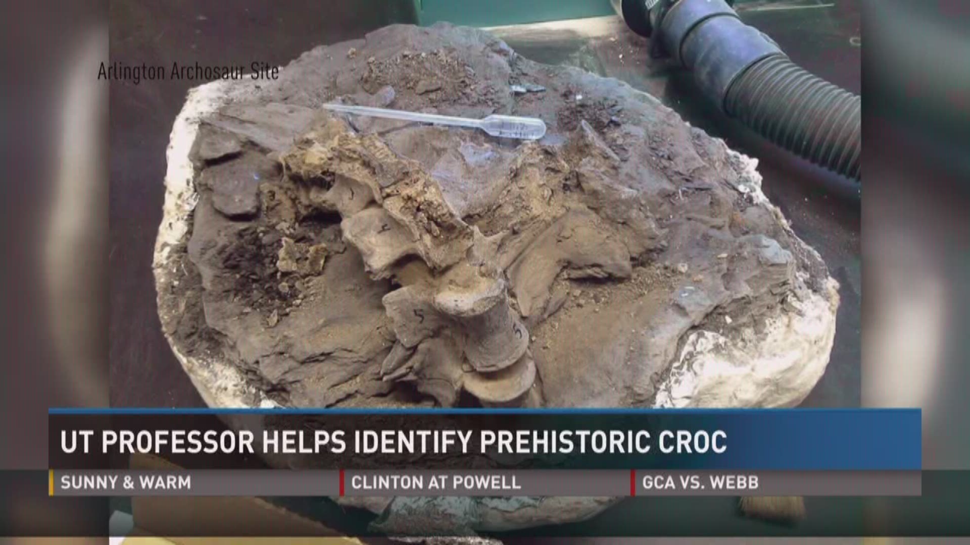 Sept. 15, 2017: A UT professor helped identify a new species of ancient crocodile.