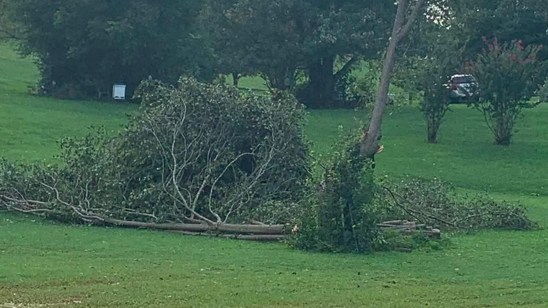 Moderate Rear Damage Up to 10 homes damaged after strong winds in Morristown, NWS says ...