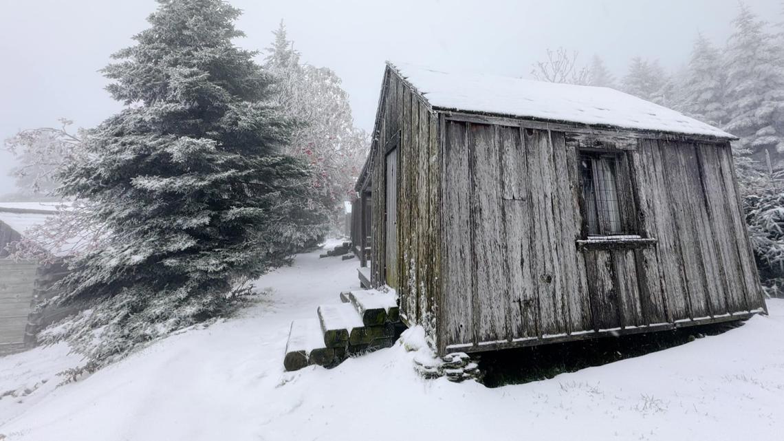 Snow arrives on Mount LeConte - Vimarsana News