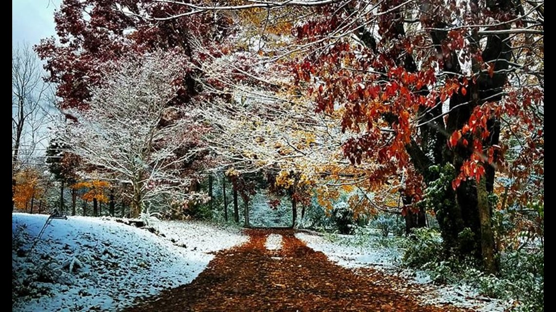 PHOTOS: East Tennessee experiences winter wonderland | wbir.com