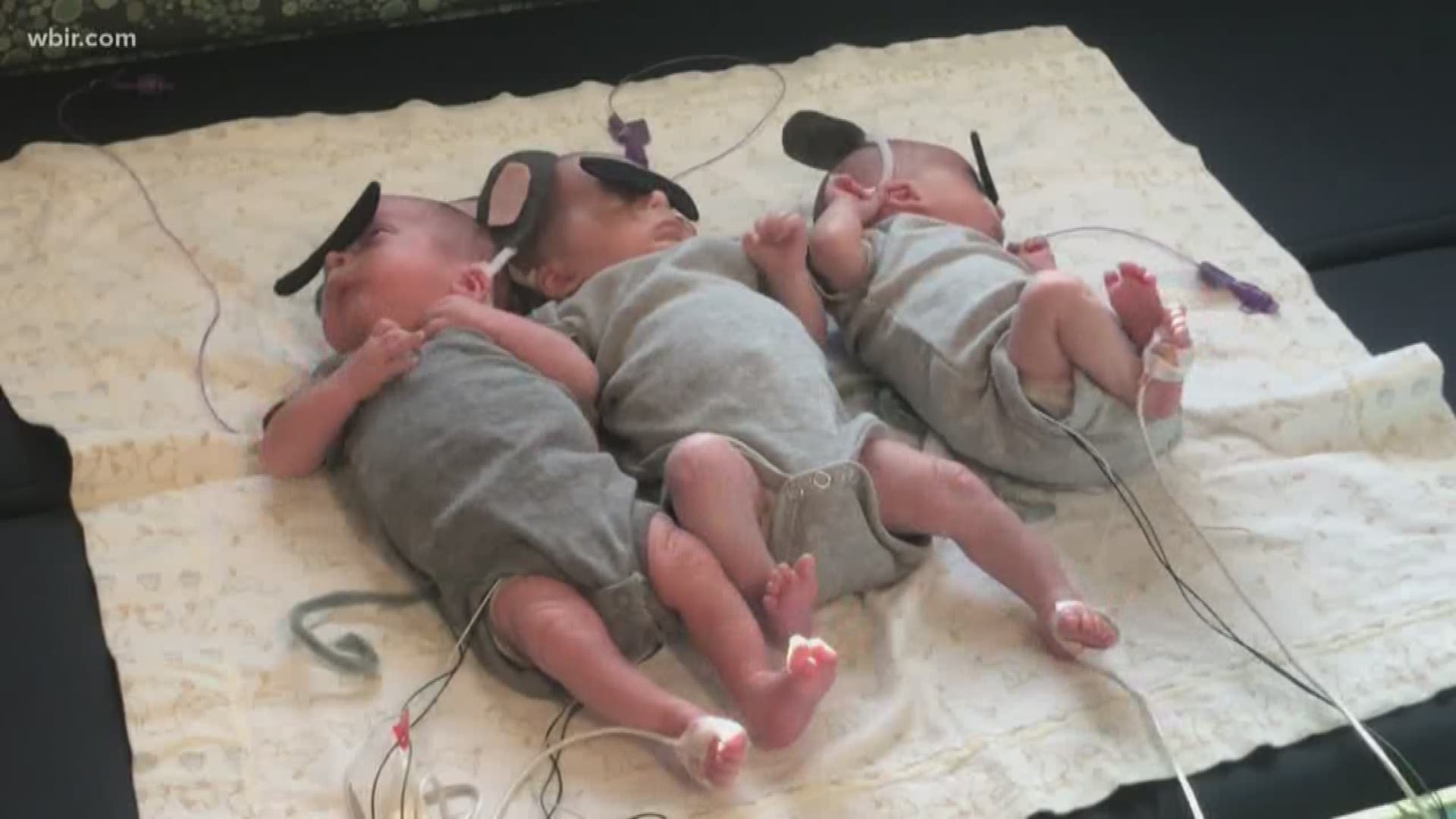 At UT Medical Center, the NICU is celebrating Halloween with adorable costumes.