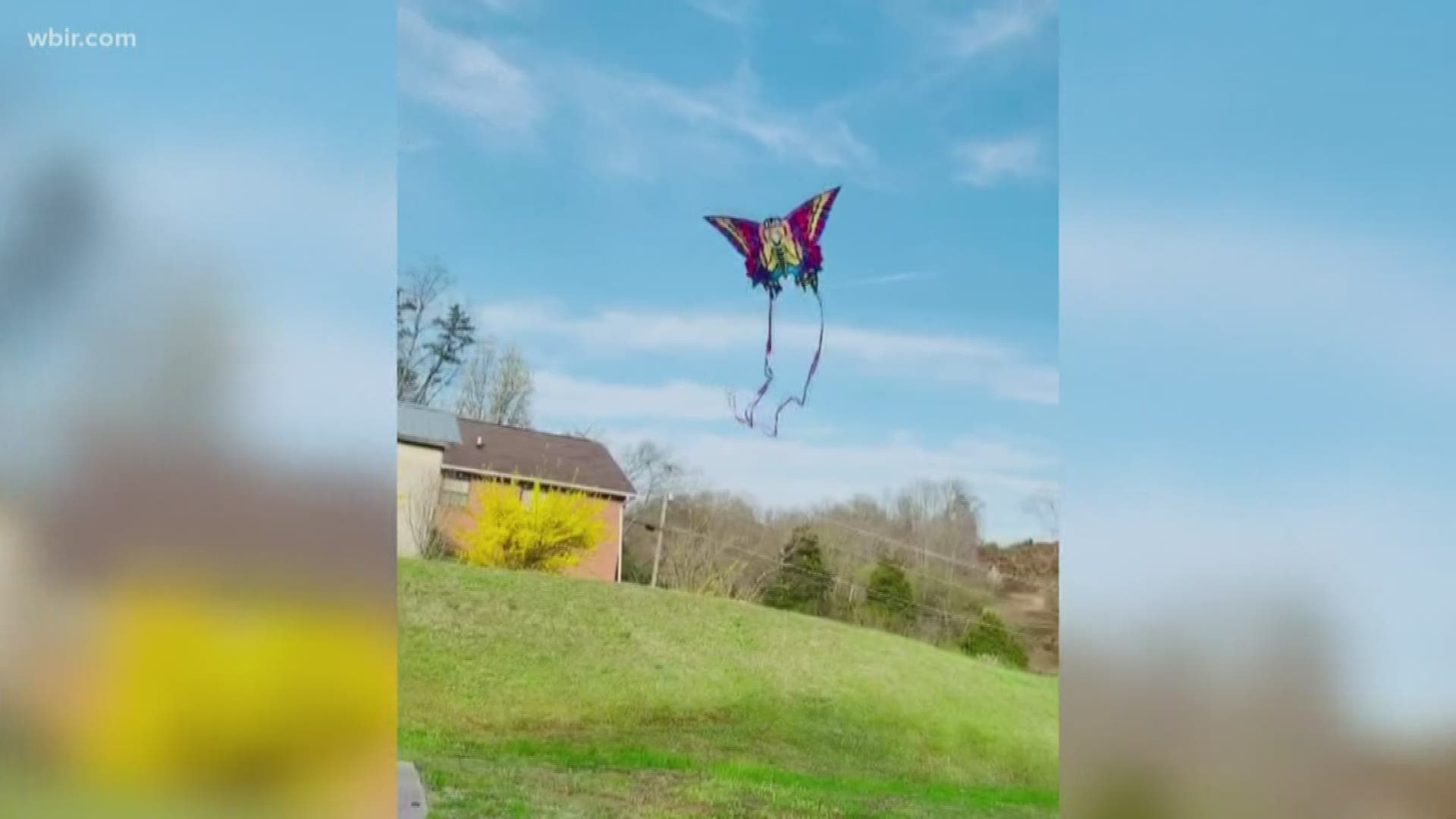 Some crazy catches, a wild golf shot and we even find time to fly a kite!