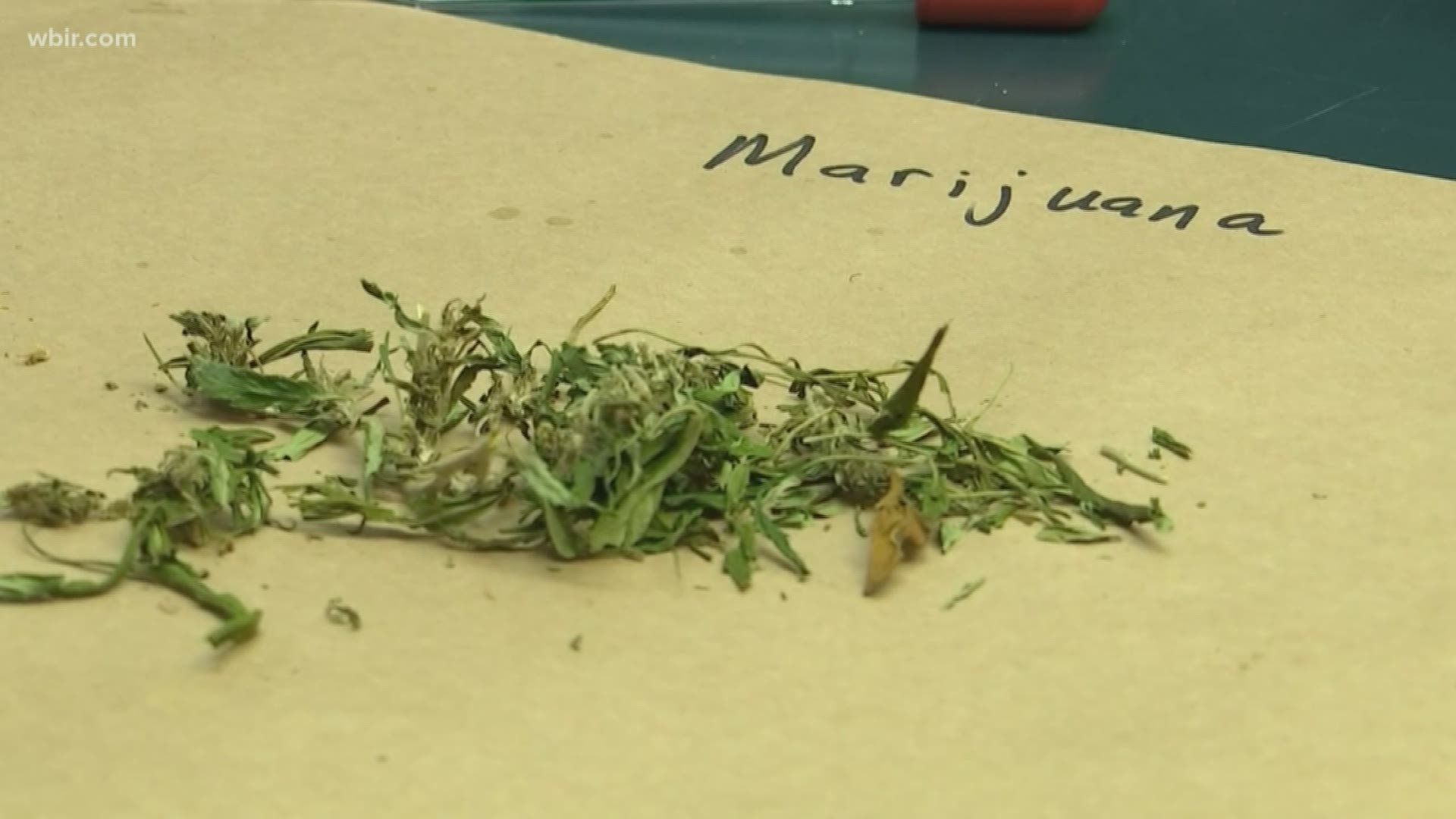 The TBI processes about 10,000 marijuana-related cases across Tennessee.