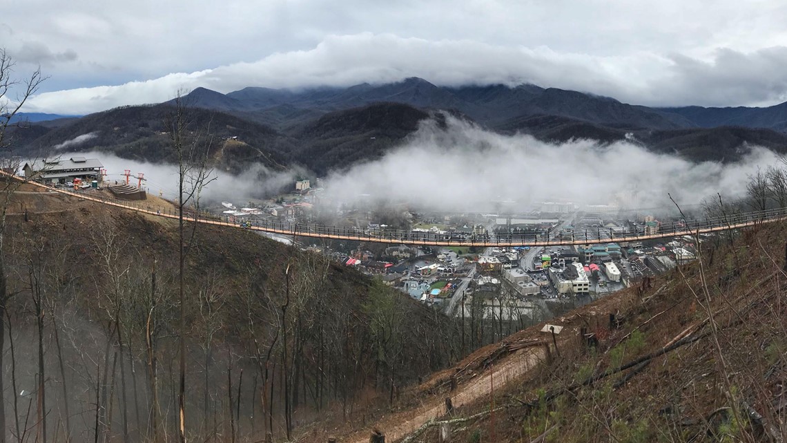 The longest pedestrian suspension bridge in North America will open