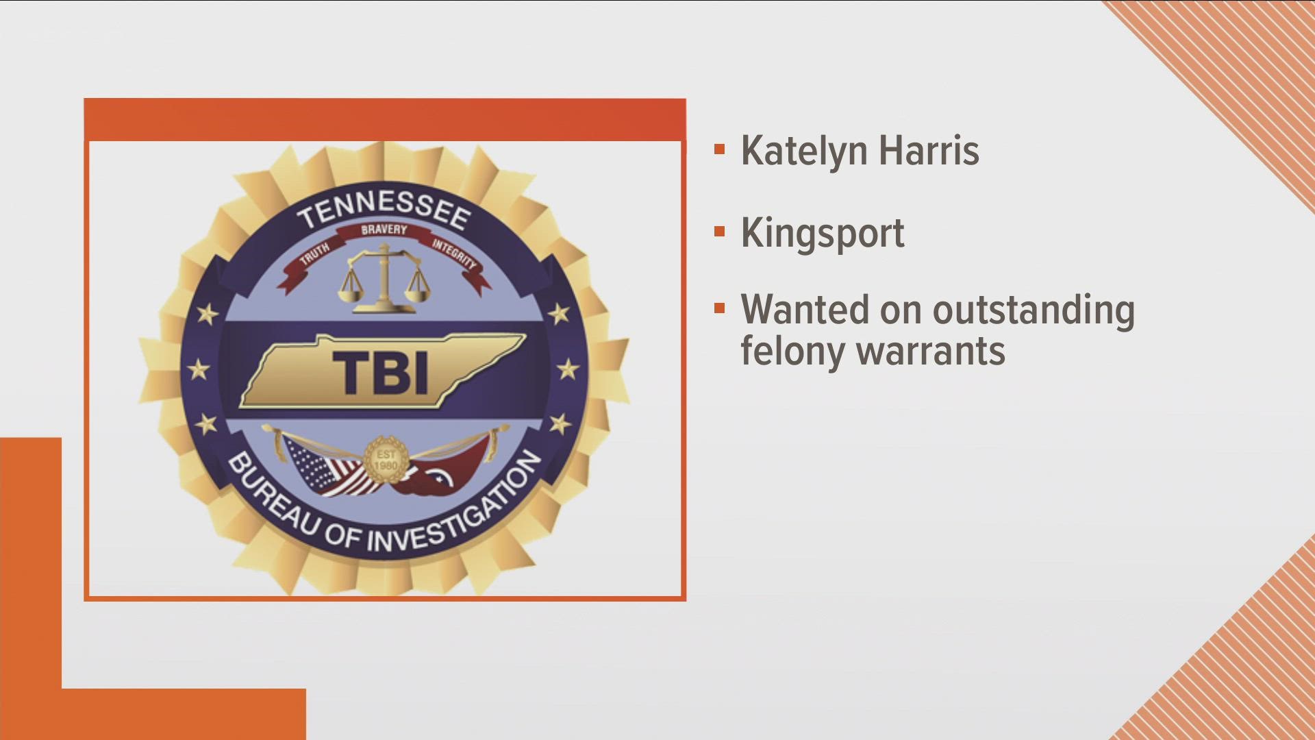 Deputies spotted Katelyn Harris in Kingsport who was wanted on outstanding felony warrants.