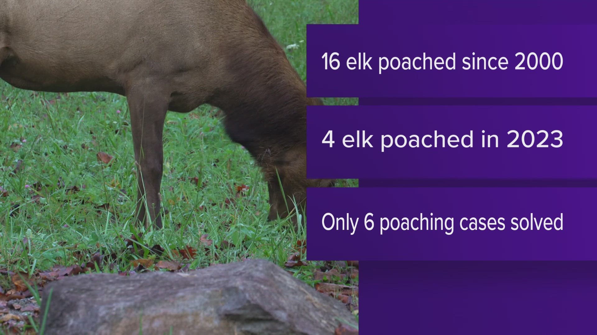 The Tennessee Wildlife Resources Agency said only six poaching cases have ever been solved, and said it's important people share tips about poaching cases.