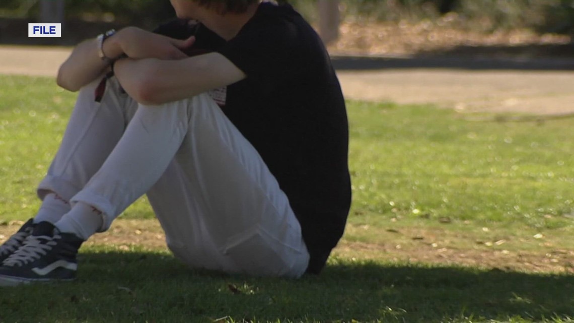 Hancock County leads Tennessee for youth mental health vulnerability, new data shows - Vimarsana News