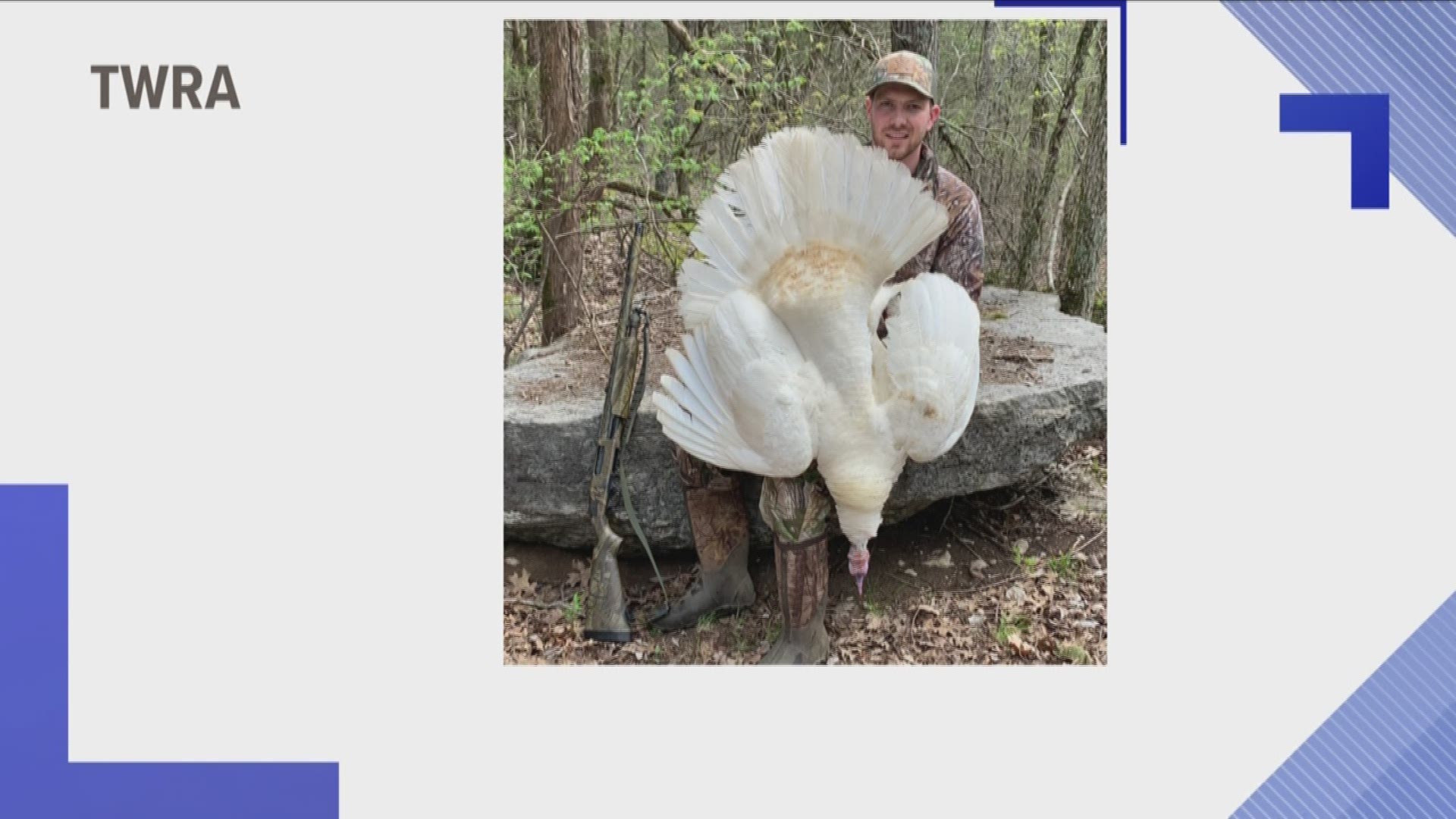 A hunter in Rutherford County got a turkey of a lifetime.