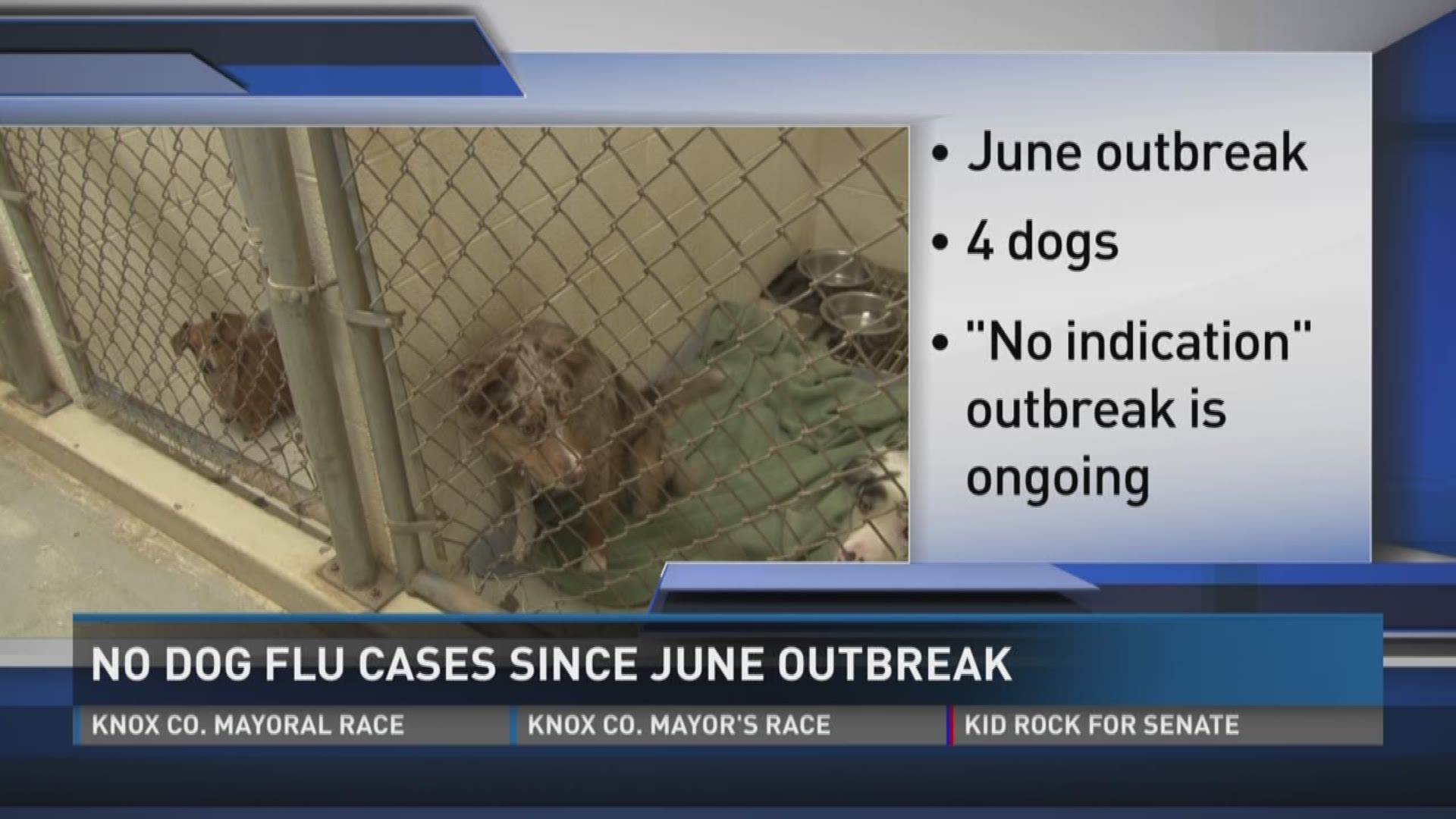 July 12, 2017: There have been no new cases of the dog flu in the Knoxville area since an outbreak in June. 