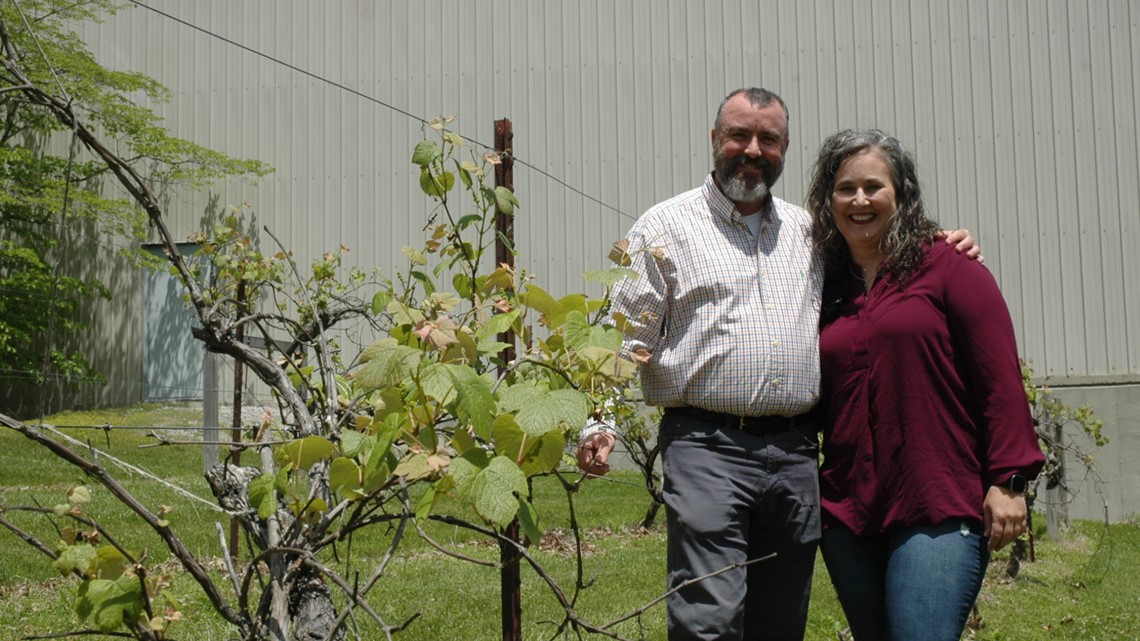 39th 'Everywhere You Look, UT' Mural on Barn at Friendship Acres Farm in  Giles County - UT System News