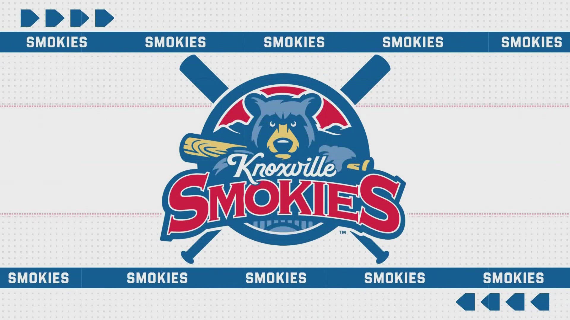 Knoxville Smokies holding auditions for National Anthem singers | wbir.com