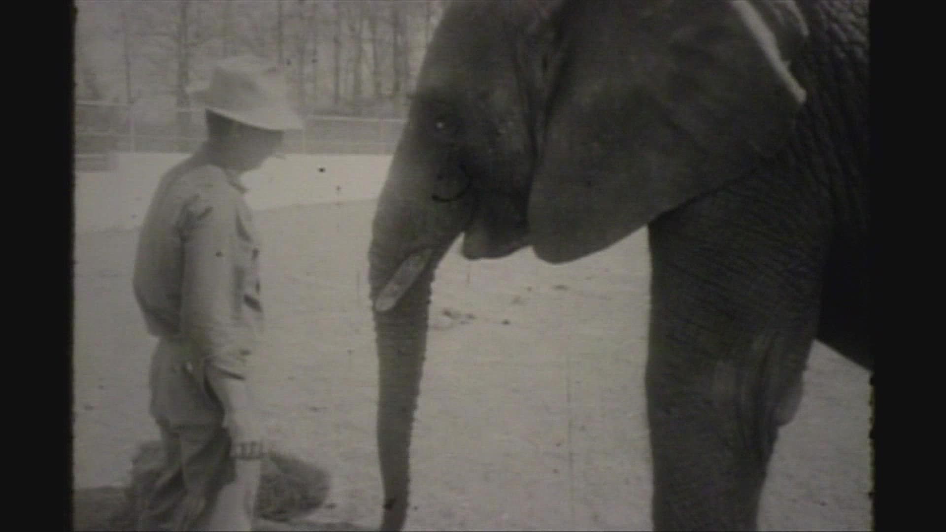 Elephants track a long history in Knoxville dating back to the late 1800s and early 1900s.