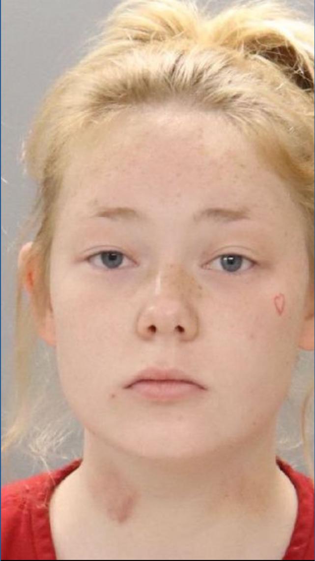Two people arrested in Powell for shooting into neighbor's home | wbir.com