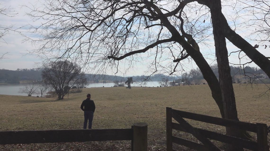 US cattle herds hit lowest levels in 75 years, USDA reports