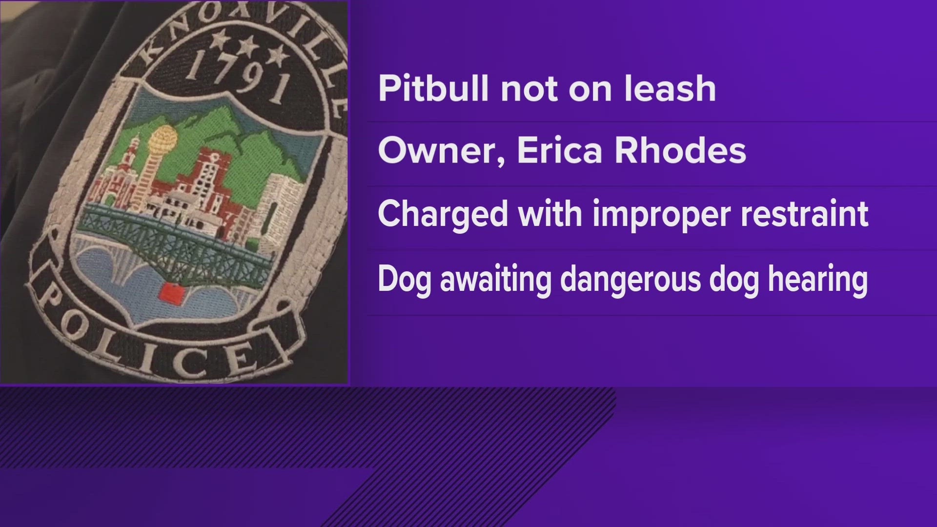 The Young-Williams Animal Center said they had temporary custody of the dog after the incident and that it was put under a 10-day bite quarantine.