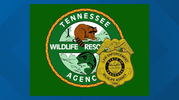 New turkey hunting regulations announced ahead of 2023 spring season