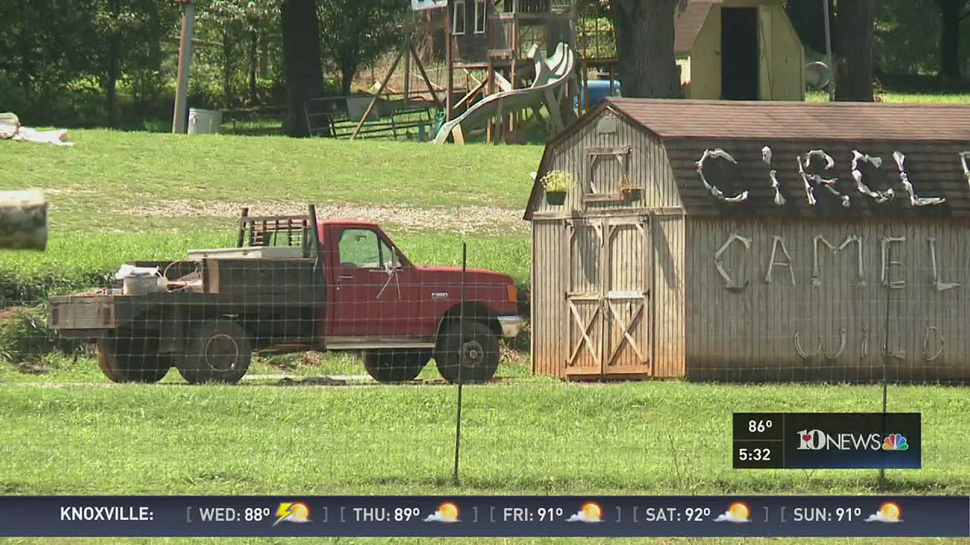 Circle G Ranch in Sevier County recently closed its doors. There are about 75 animals that will now be sold at an exotic animal auction in September.