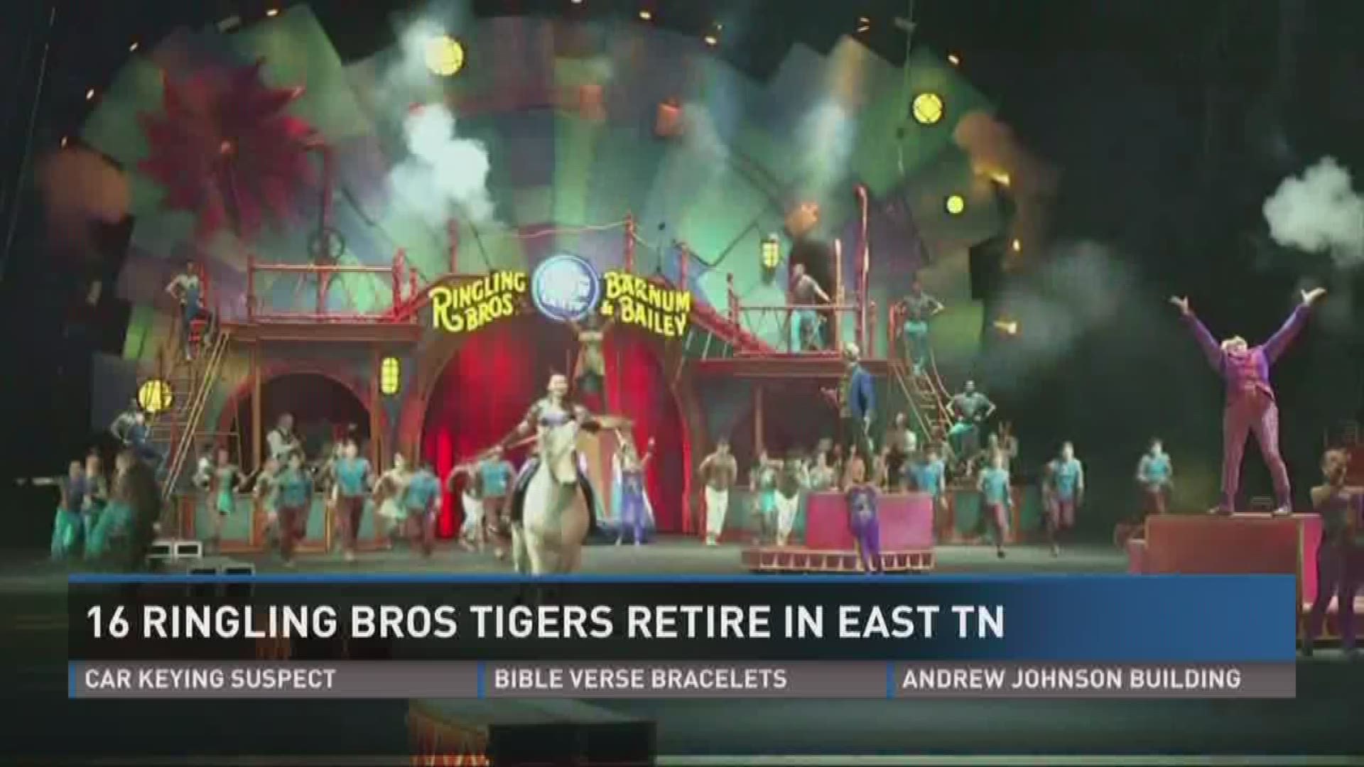 Aug. 1, 2017: 16 tigers formerly with Ringling Brothers Circus are retiring at Tiger Haven, a sanctuary in Kingston.