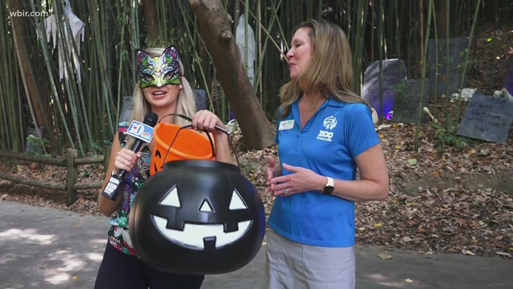 Trick or treat! Zoo Knoxville's Boo at the Zoo in full swing