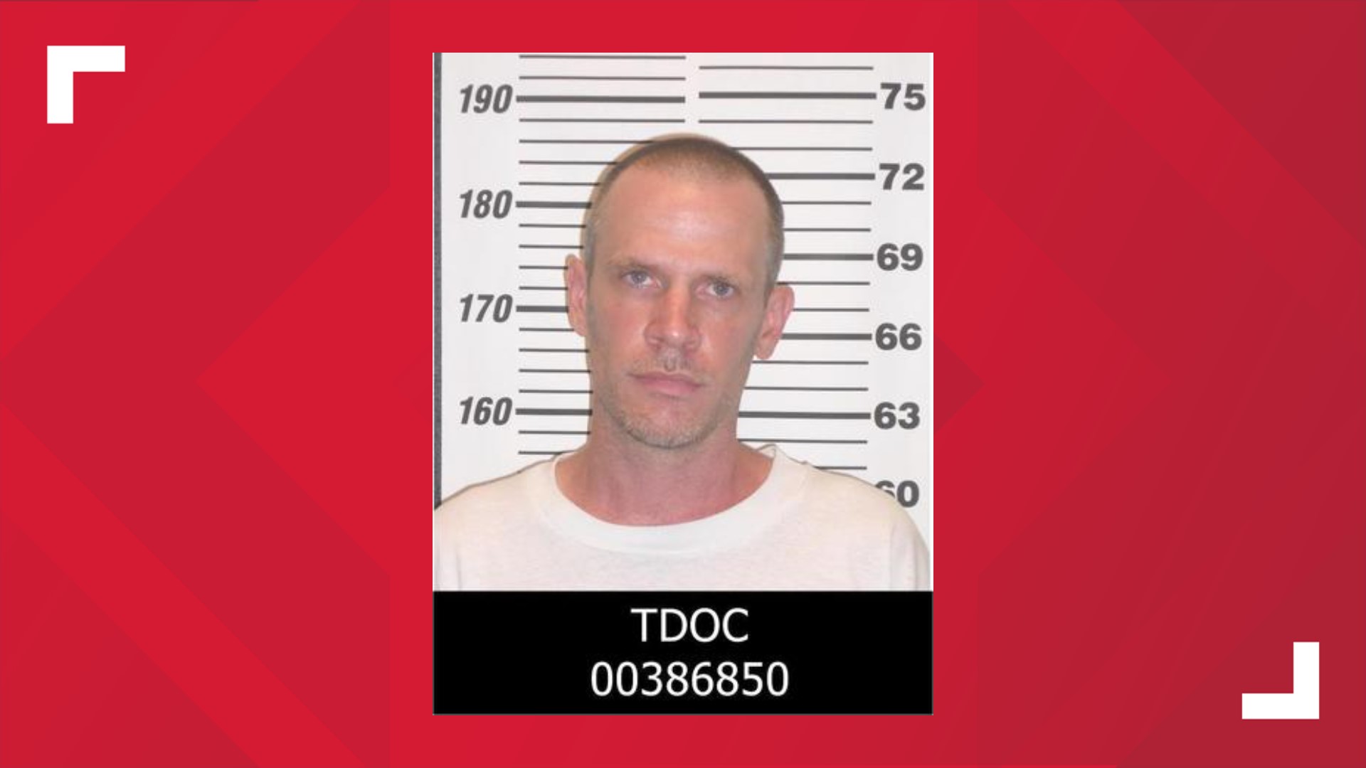 Knoxville man sentenced to 20 years in prison for having and ...