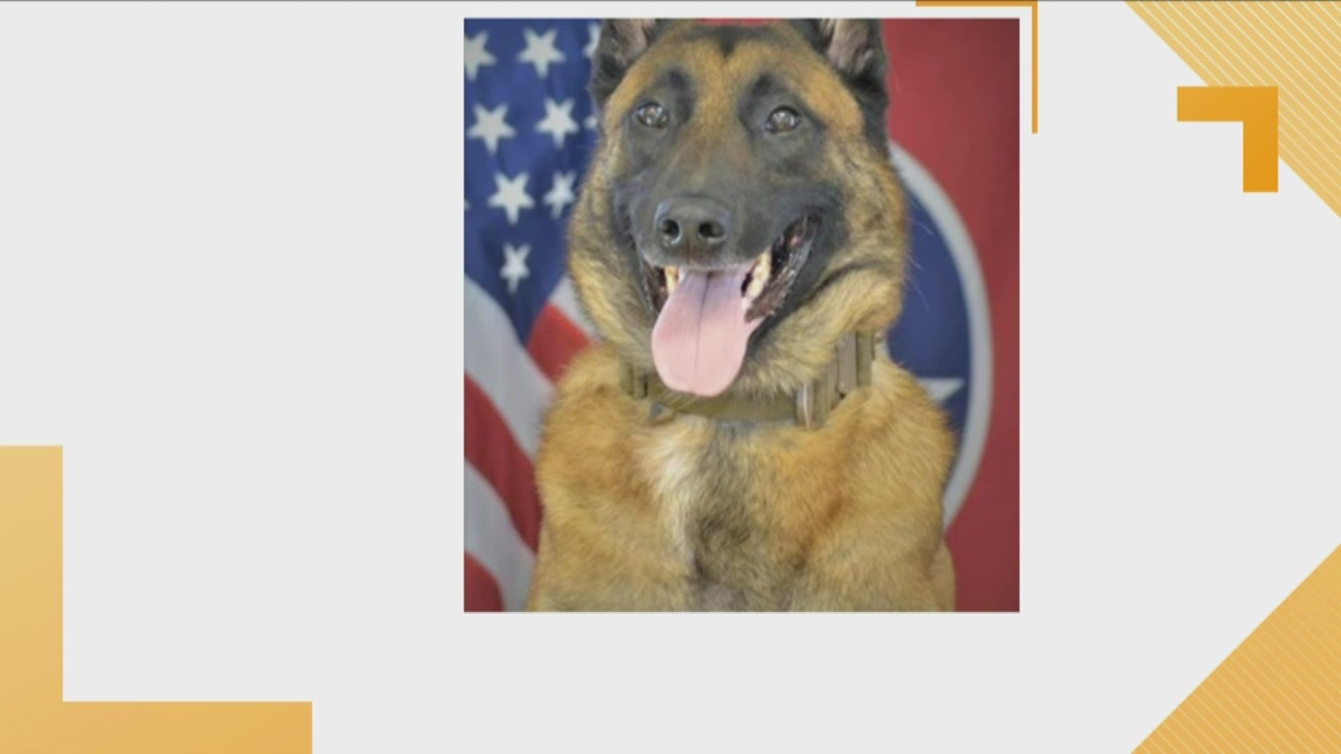 The sheriff said the K-9 passed away suddenly due to a medical condition.