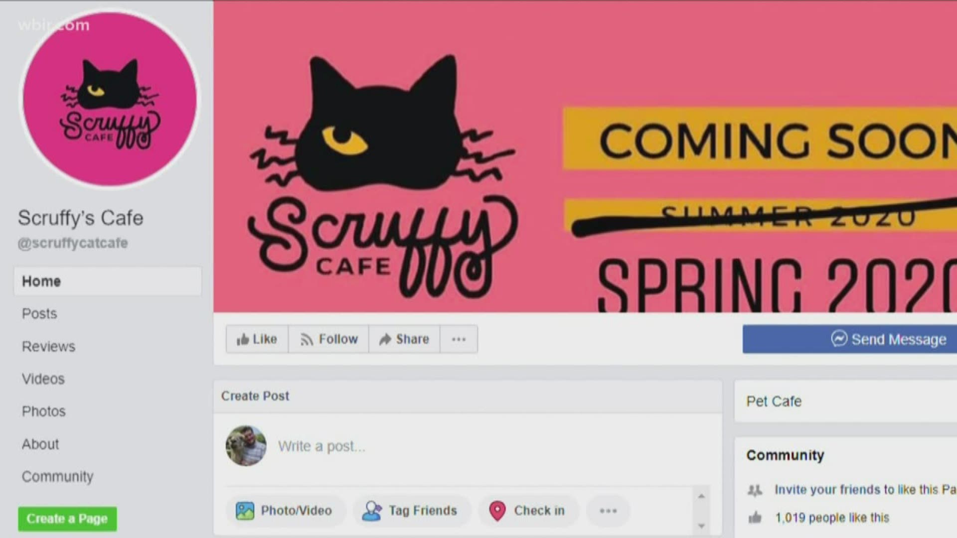 Scruffy's Cafe plans to open the first cat cafe in Knoxville this spring. It will be located on North Broadway near KBrew.