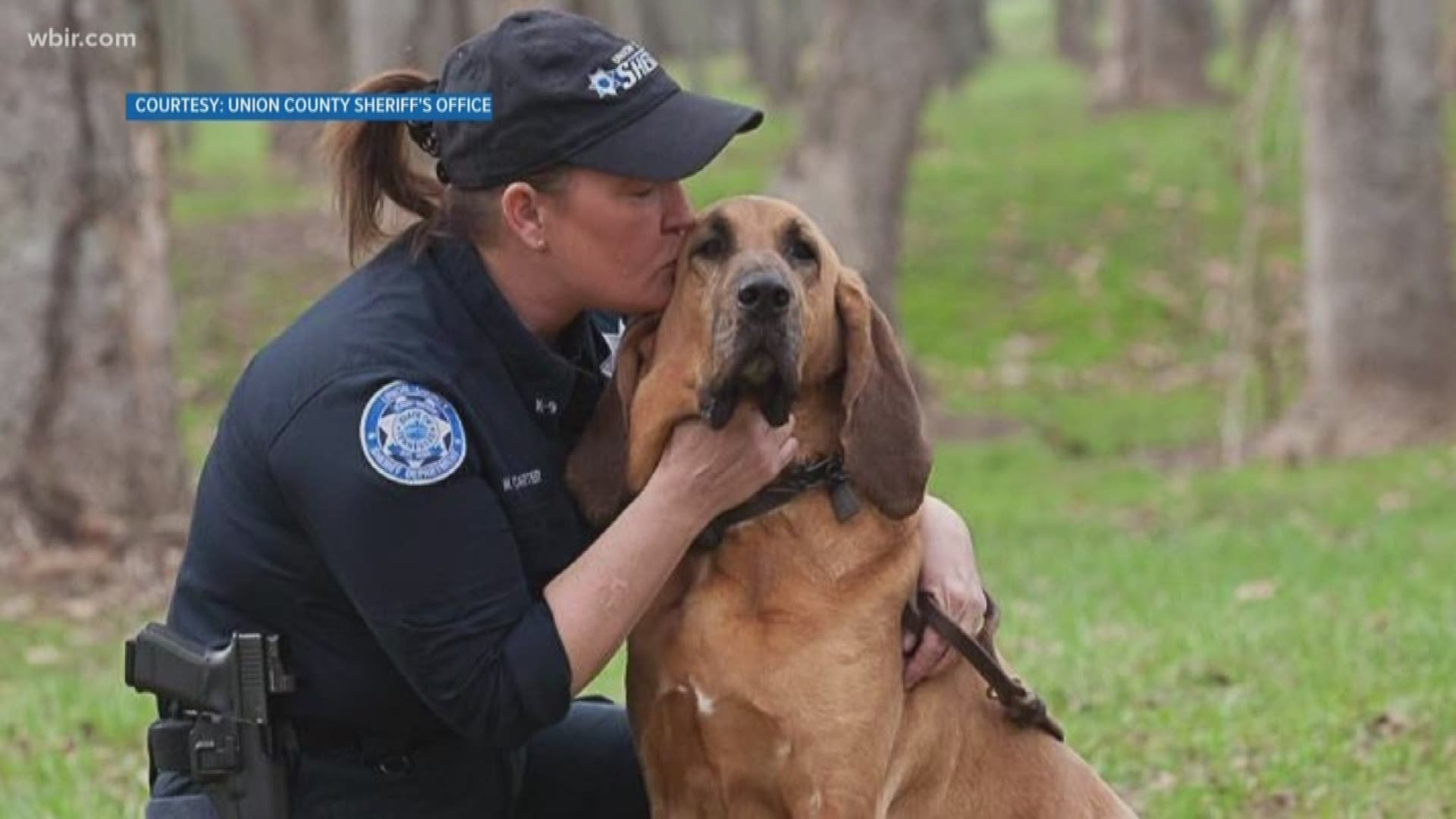 Retired OVPD K-9 has passed away, News