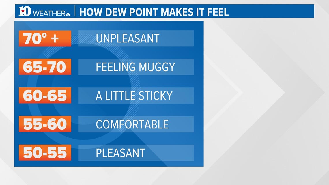 Humidity vs. dew point: What they actually mean for your forecast