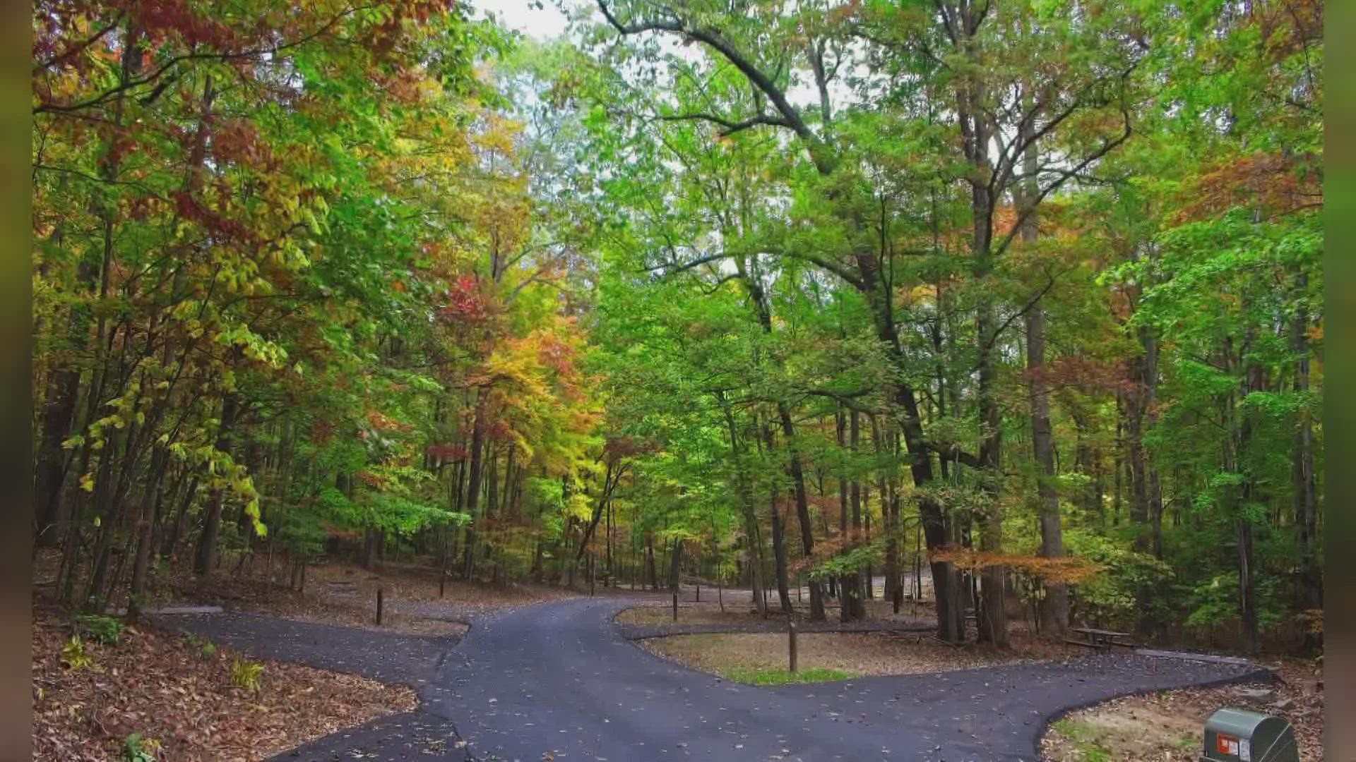 The Great Smoky Mountain National Park reopens Look Rock Campground after a nine-year closure.