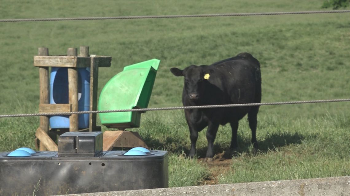 Tennessee farmers going through dry spell, but hope is on the way