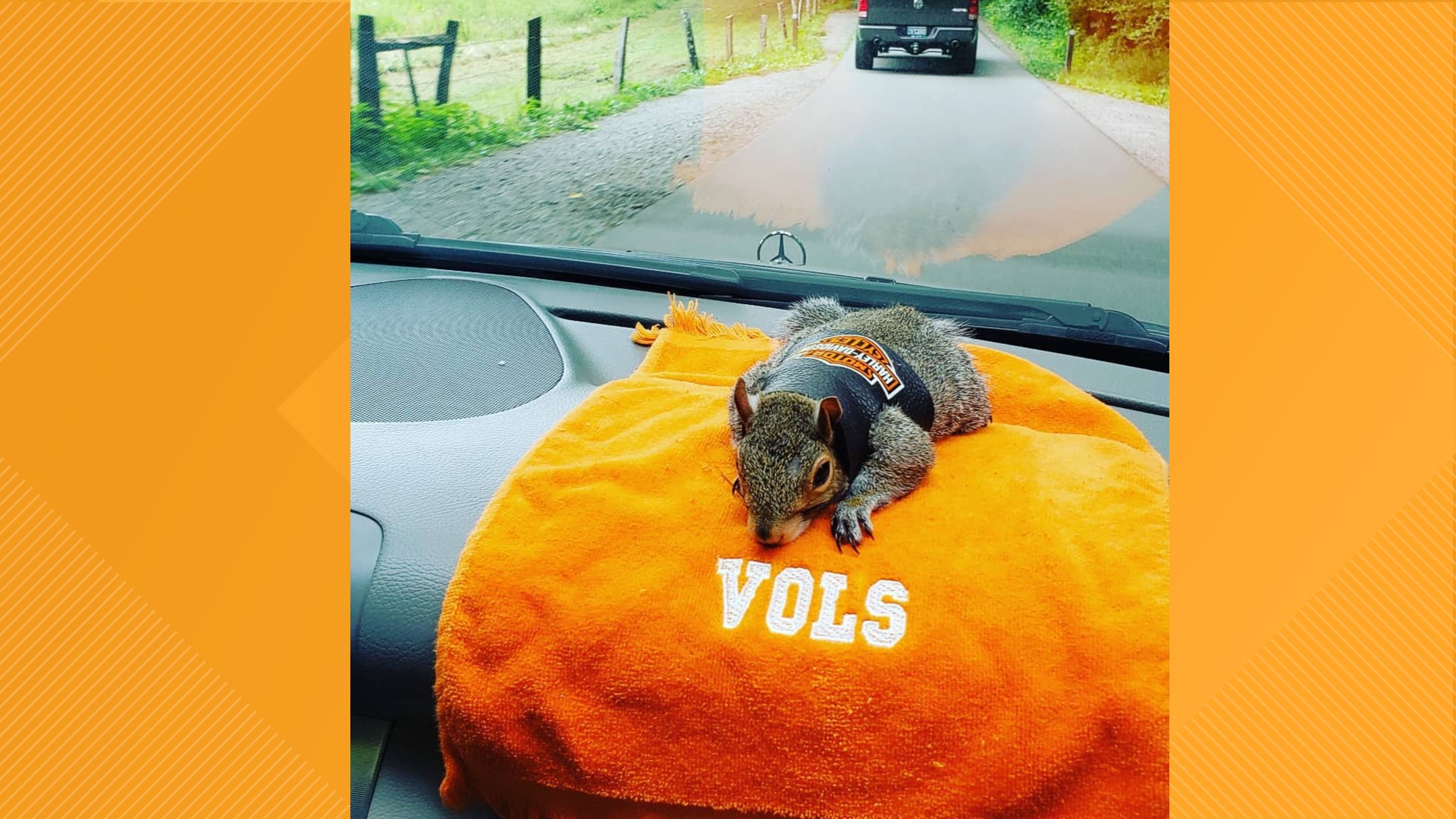 Fan Day practice was cancelled, but no one was more gutted than this