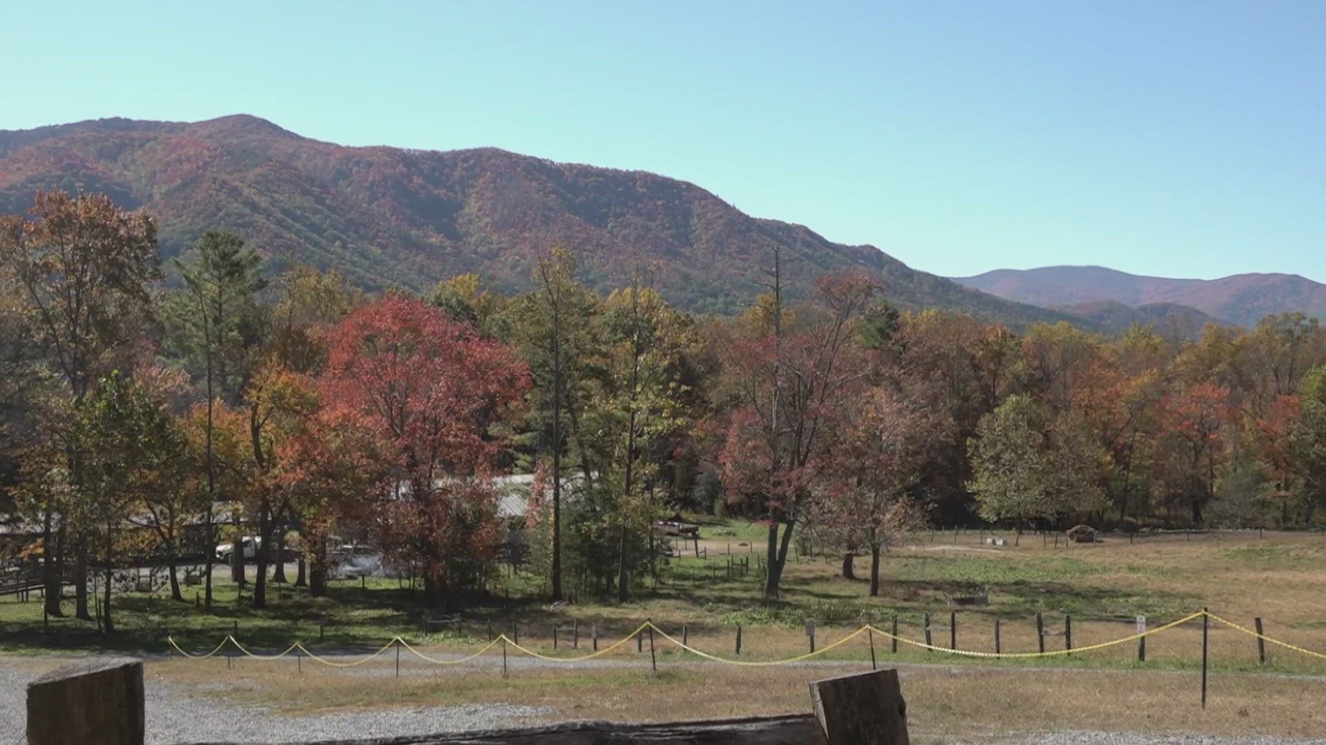 One couple traveled over 600 miles to visit the Smokies for the first time to get a glimpse of the tree canopy of many colors.