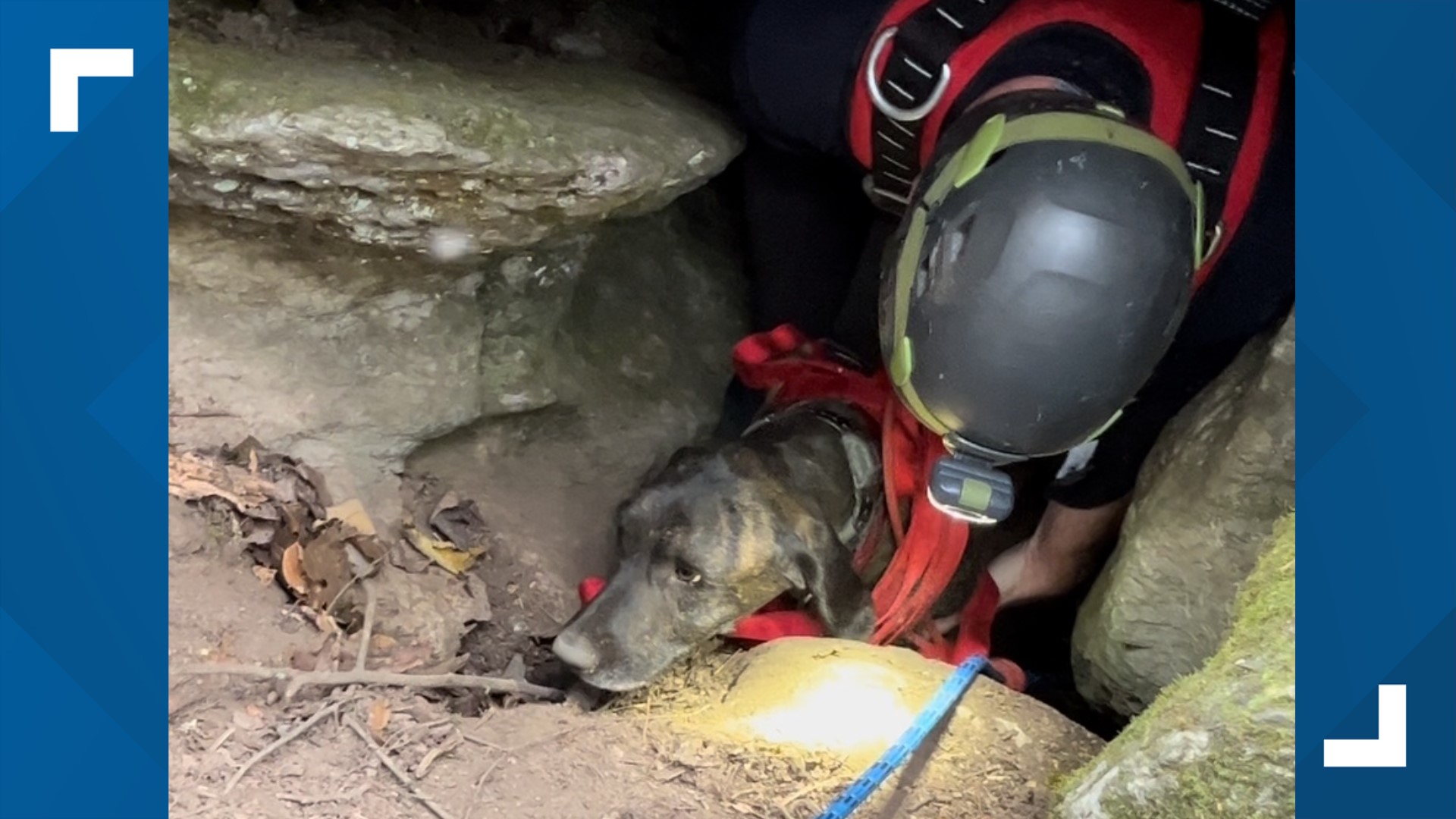 Sevier Co. rope rescue team saves dog trapped in narrow cave for around ...