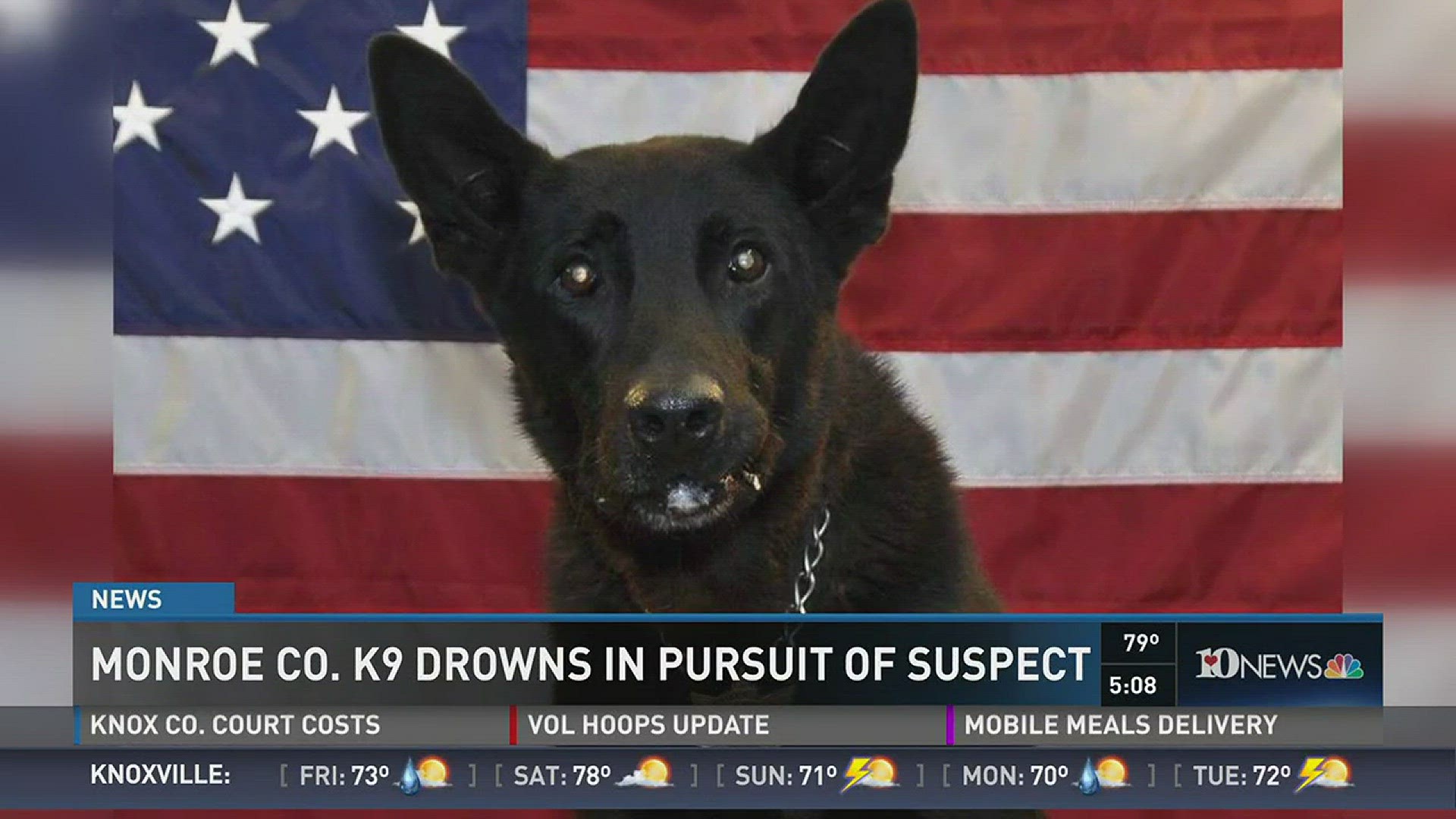 According to the Monroe County Sheriff's department, Deputy B.J. Johnson and his partner, K9 Vigor, were tracking a wanted man through the Cherokee National Forest when the K9 drowned. (3/10/16)