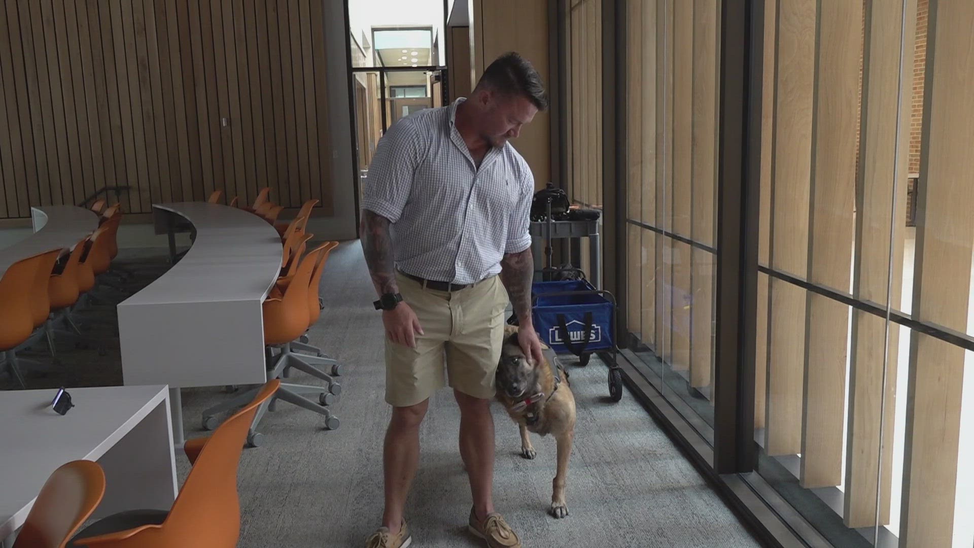 Yankees Honor Camp Pendleton Military Dog Sgt. Rex (Video)