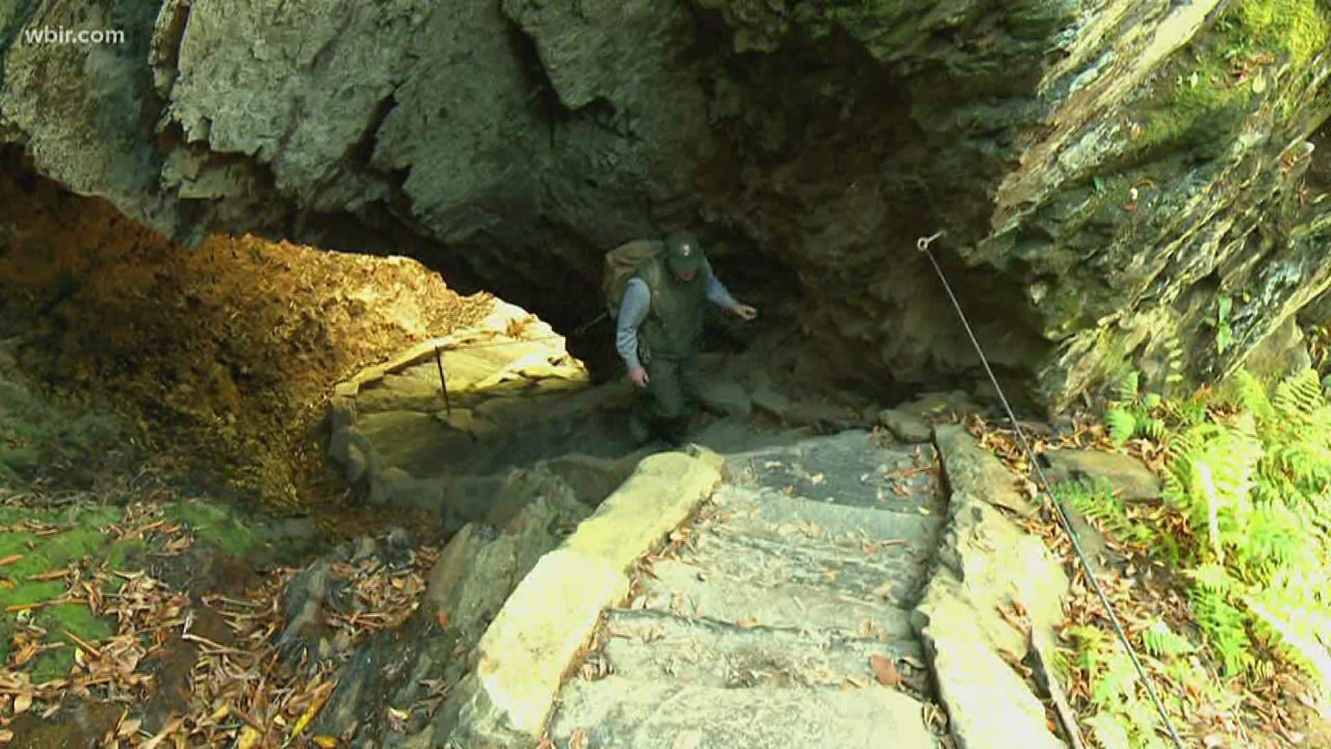 Friends of the Smokies is holding a virtual Alum Cave hike as a fundraiser for the national park.