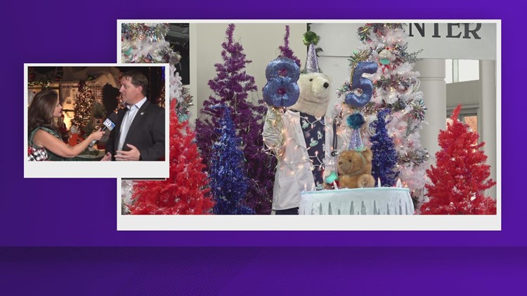 East TN Children's Hospital CEO talks about Fantasy of Trees