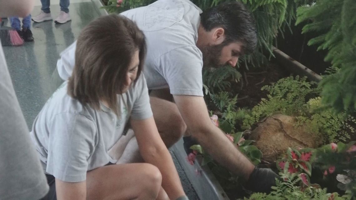Special Growers are planting flowers at McGhee Tyson Airport - Vimarsana News