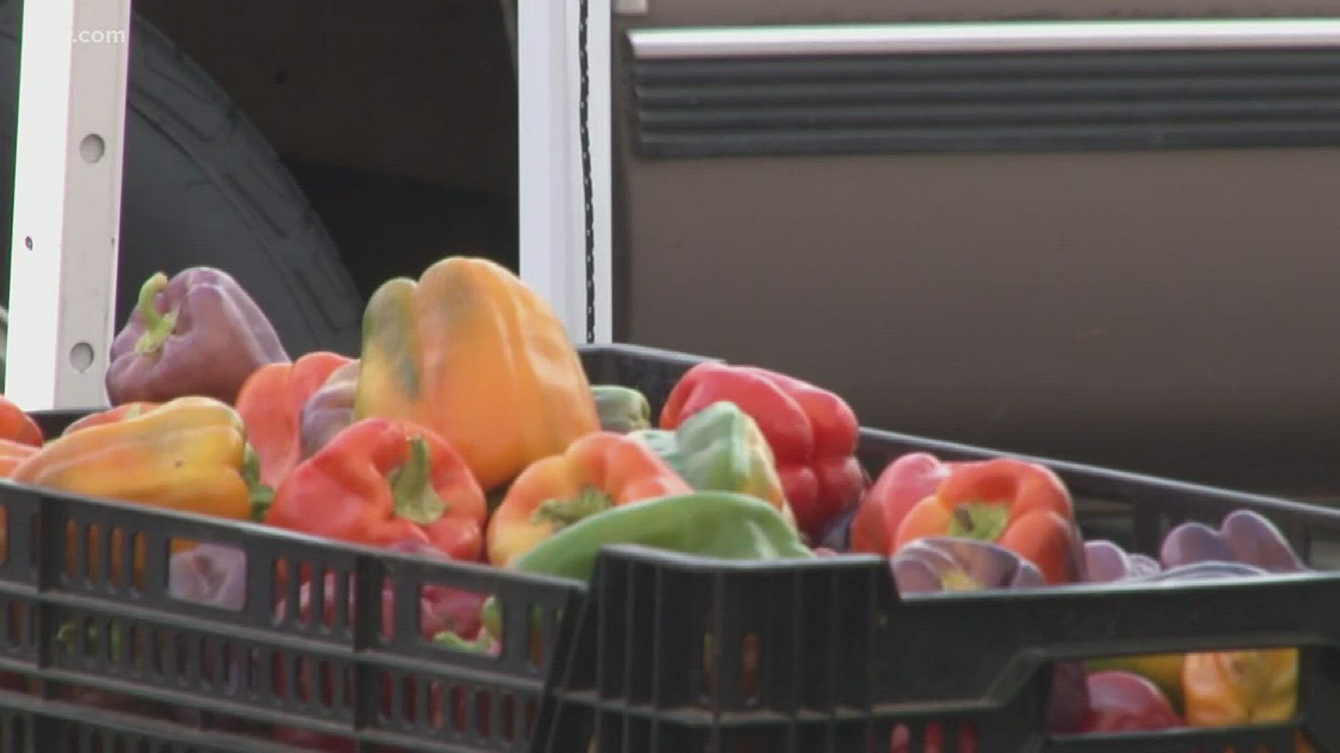 The TN Dept. of Agriculture said that between 2000 and 2014, the state gained more than 100 new farmers markets.