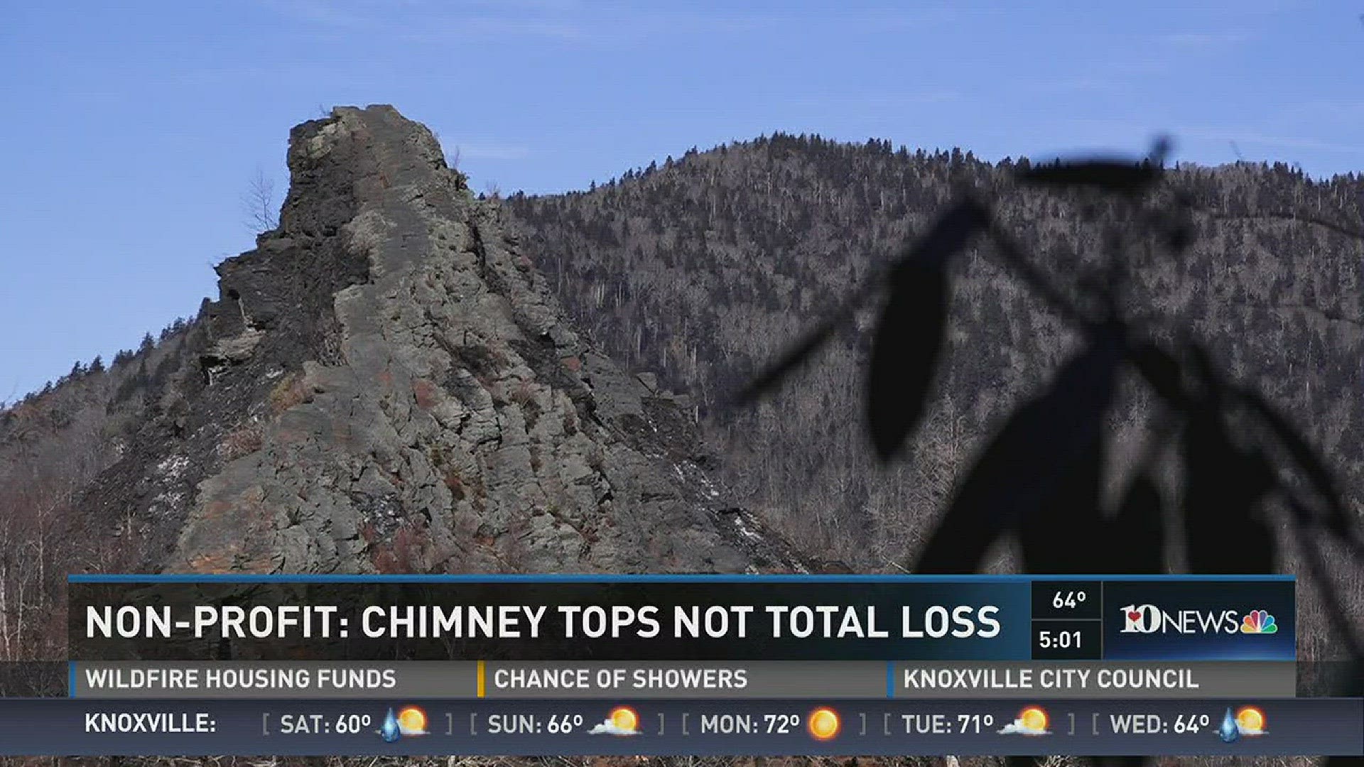 The Friends of the Smokies spent 3 years and thousands of dollars to restore the Chimney Tops Trail. They were relieved to find that all of their hard work wasn't destroyed by a massive wildfire
