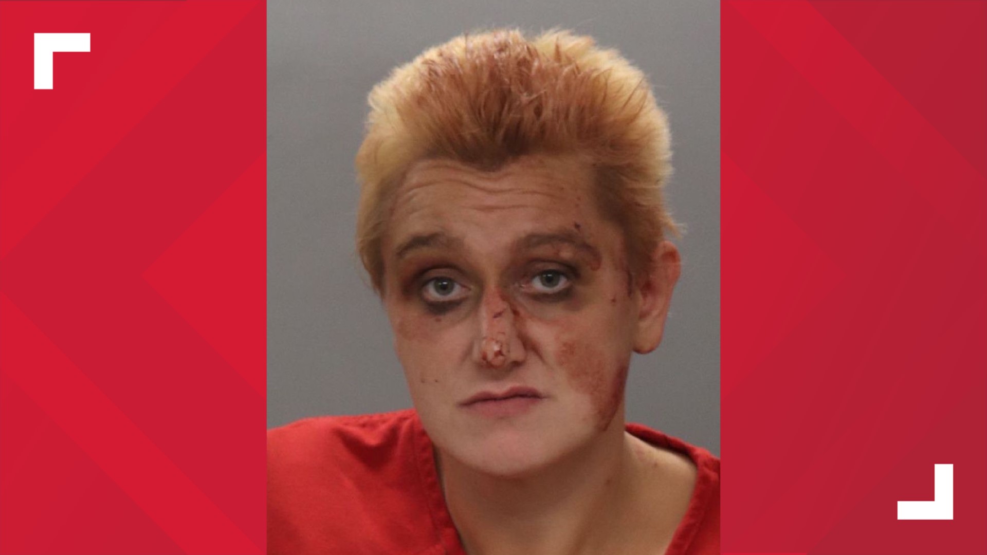 Tesia Taylor was charged with aggravated assault, carjacking, criminal trespassing, reckless driving and vandalism with additional charges possibly pending.