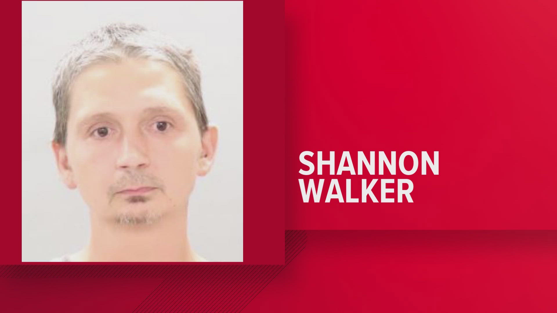 According to court documents, Shannon Walker faces a dozen counts including vehicular homicide, reckless endangerment and driving under the influence.