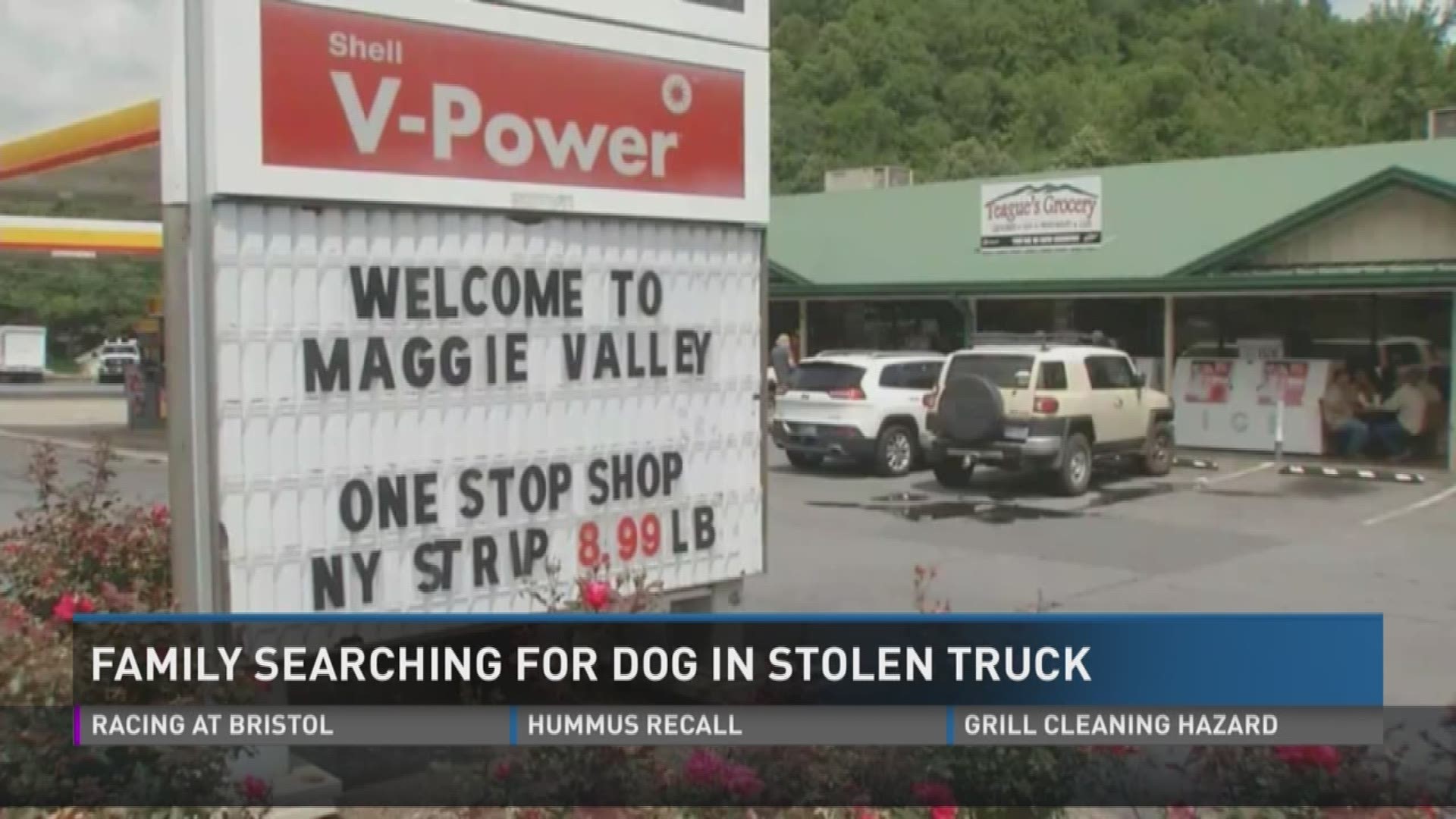 June 22, 2017: People in Tennessee and North Carolina are searching for a dog that was stolen along with her owner's pickup truck.