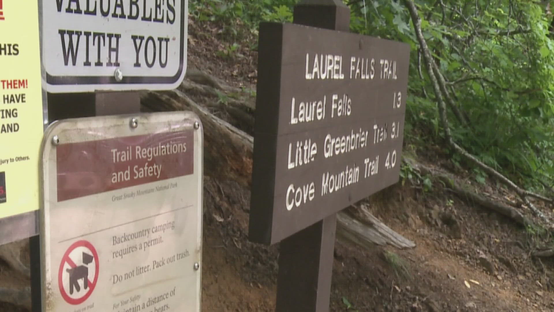 Once finished, the Smokies said there will be new features at the popular spot, such as new viewing platforms that will improve the flow of visitors.