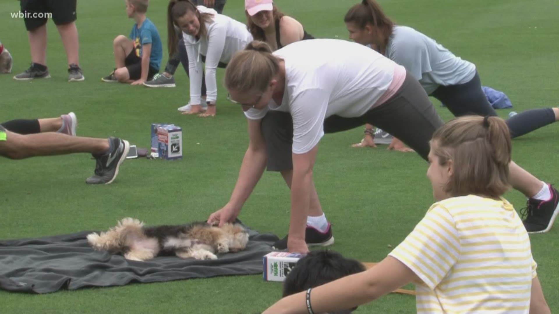 Smokies Baseball hosted a puppy yoga event today on the field so fans could relax without a RUFF time.