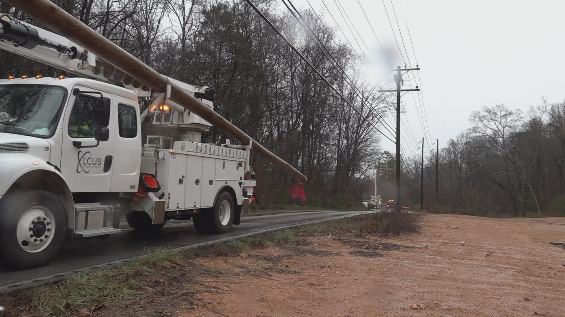 More than five power lines in Lenoir City were damaged by fallen trees and high wind Monday night.