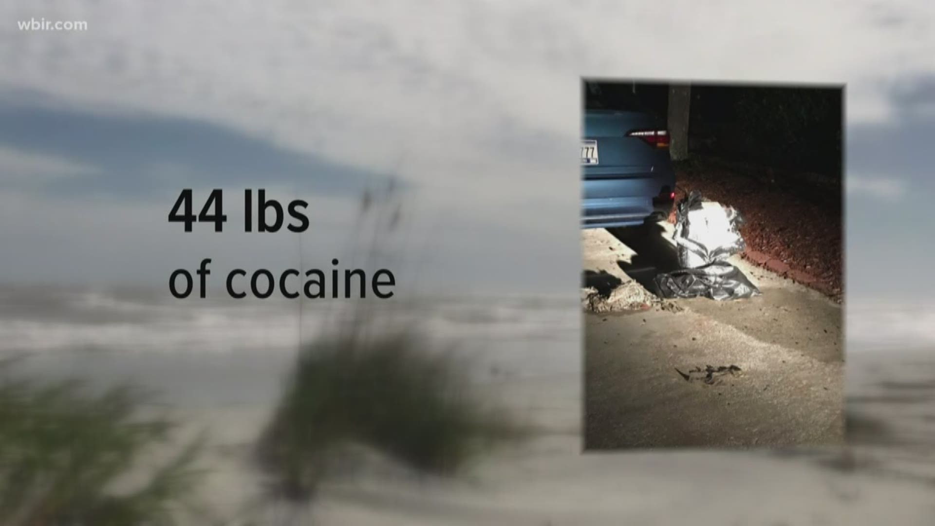 Imagine you and your loved ones are enjoying a quiet night on the beach, when suddenly what you think is a turtle washes ashore... but it turns out to be cocaine.