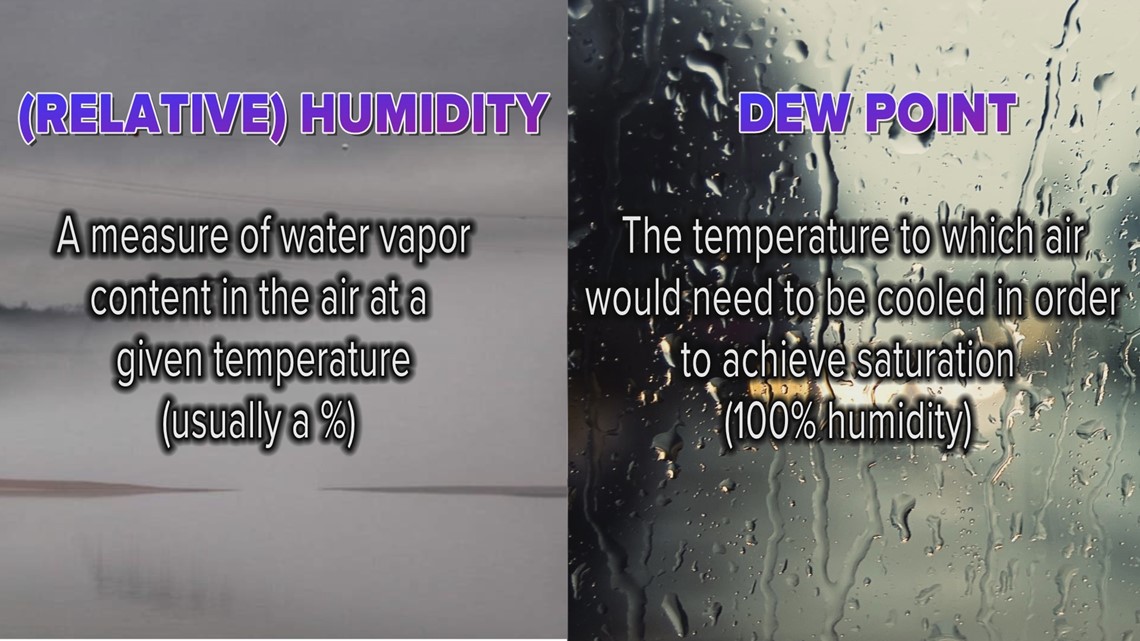 Humidity vs. dew point: What they actually mean for your forecast